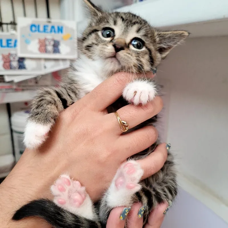 Tina
