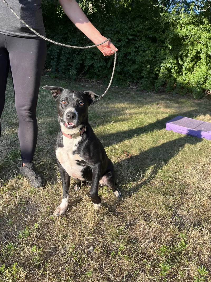 Cody  Long Island thumbnail 3