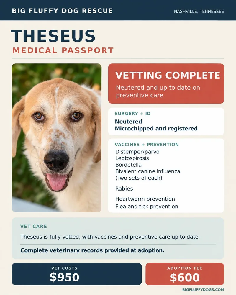 Theseus thumbnail 5