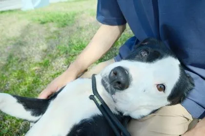 Frannie thumbnail 3