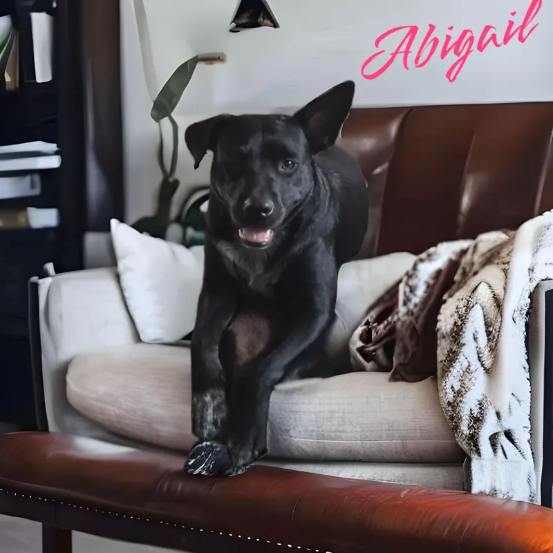 Abbie Gail thumbnail 3