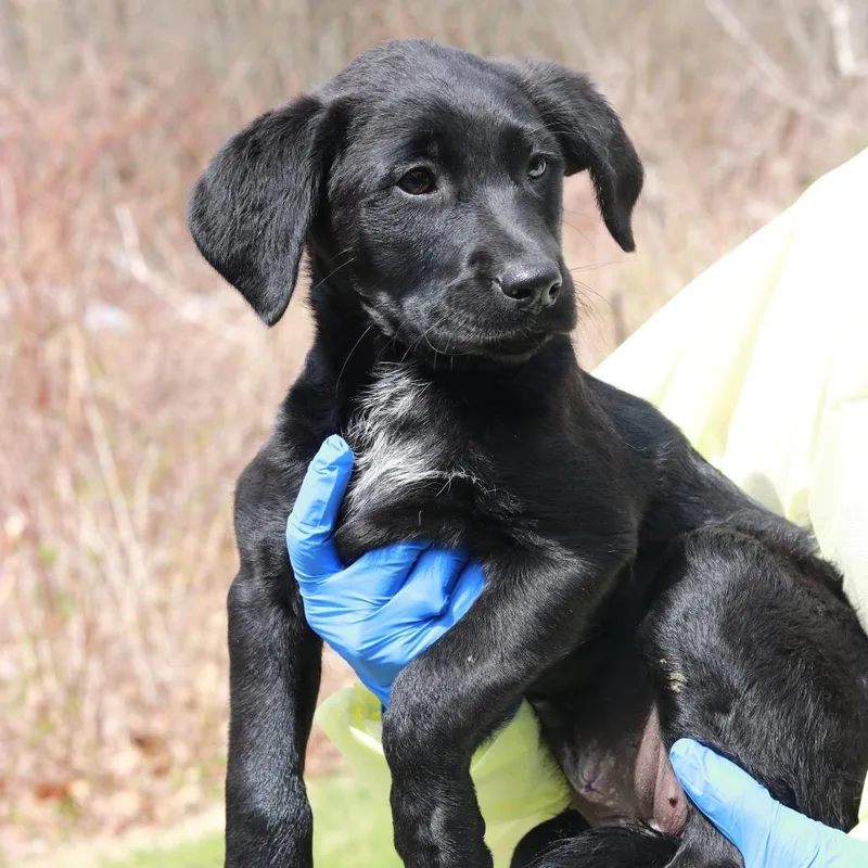 Ct Macy's thumbnail 3