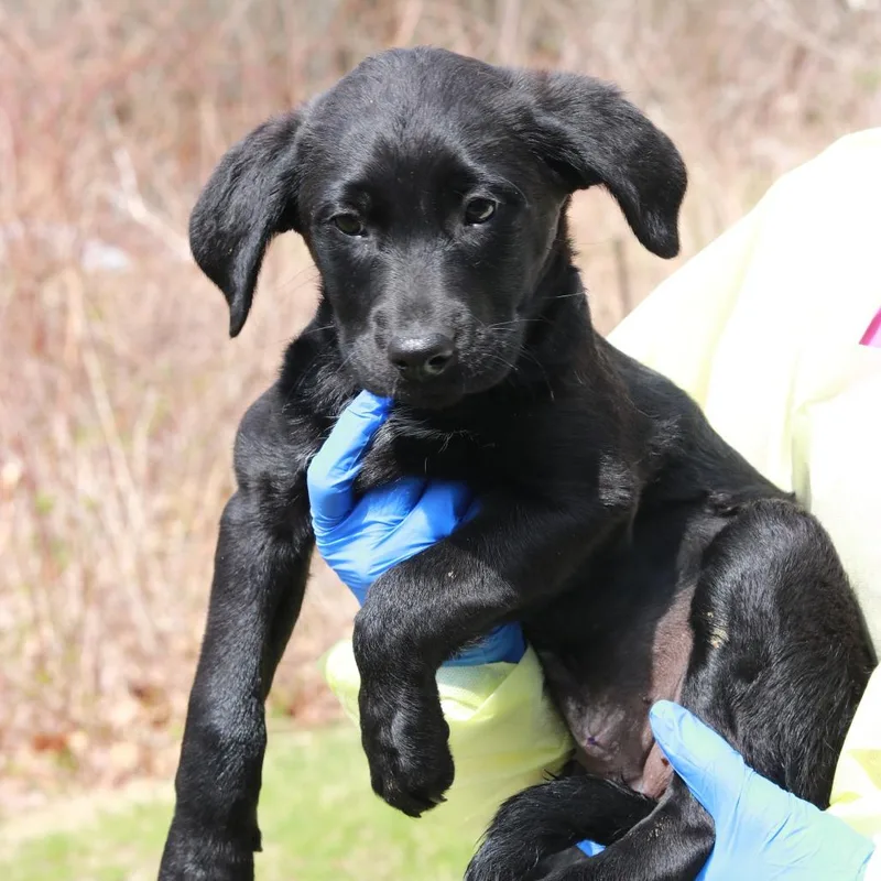 Ct Macy's thumbnail 5