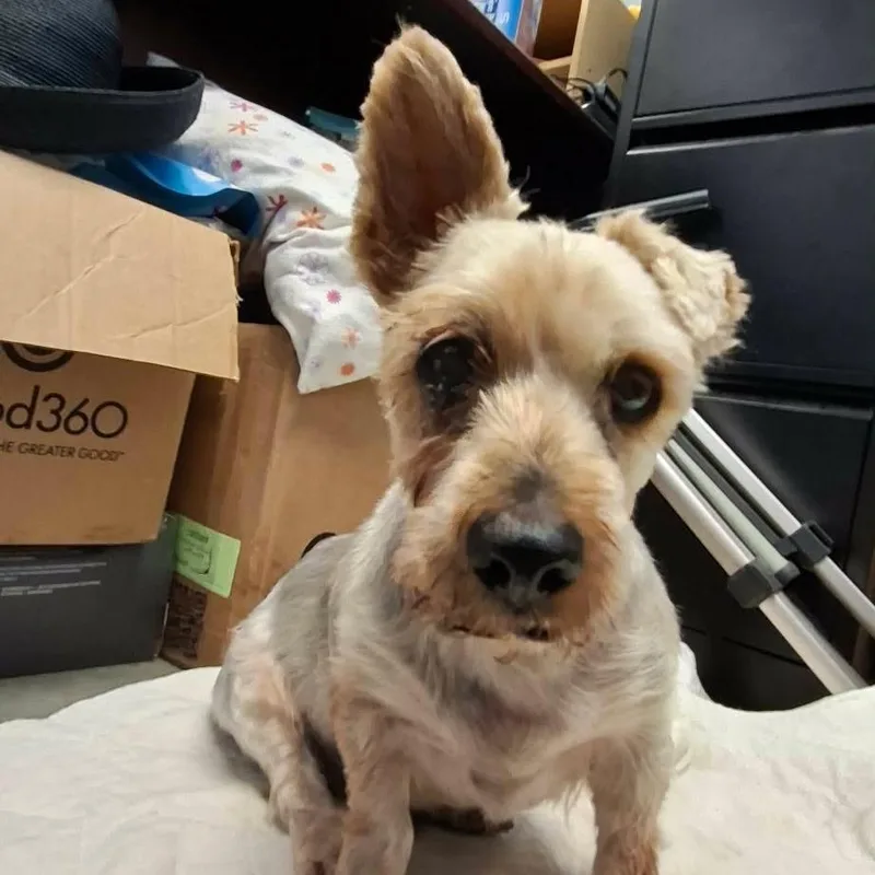 Max