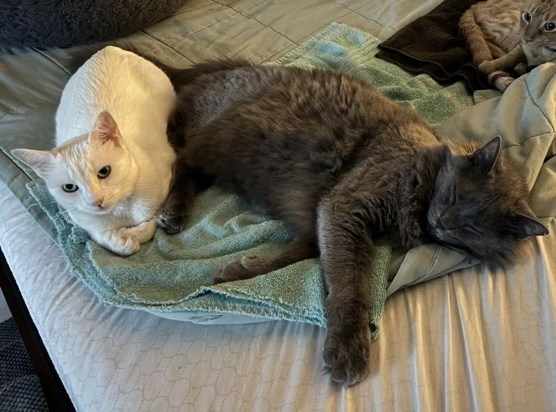 Finn And Lilla thumbnail 2