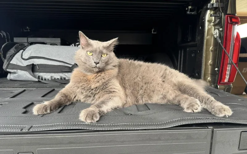 Finn And Lilla thumbnail 3