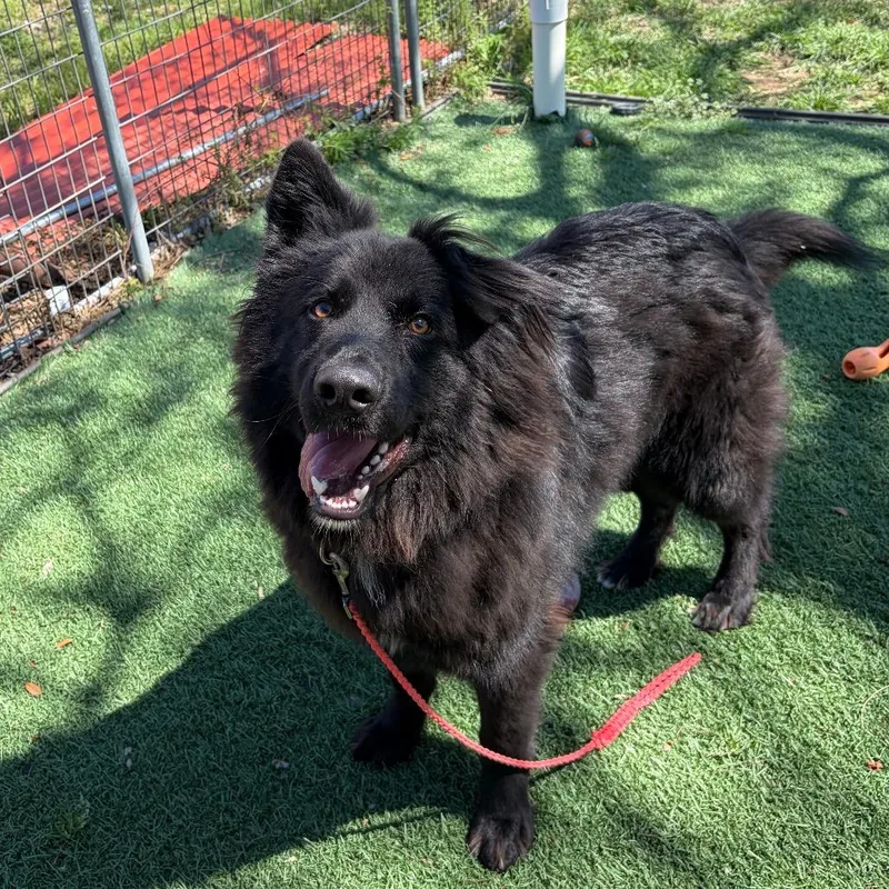 Hercules thumbnail 2