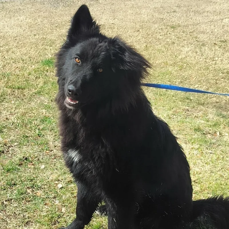 Hercules thumbnail 4