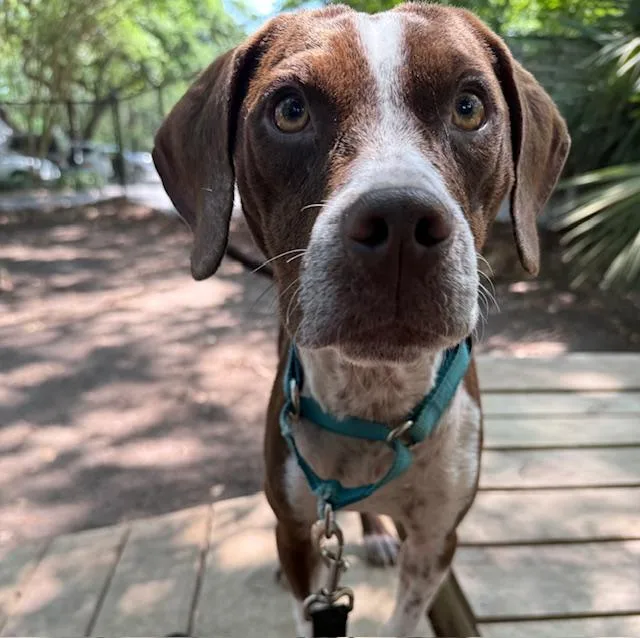 Bubba Jay thumbnail 2