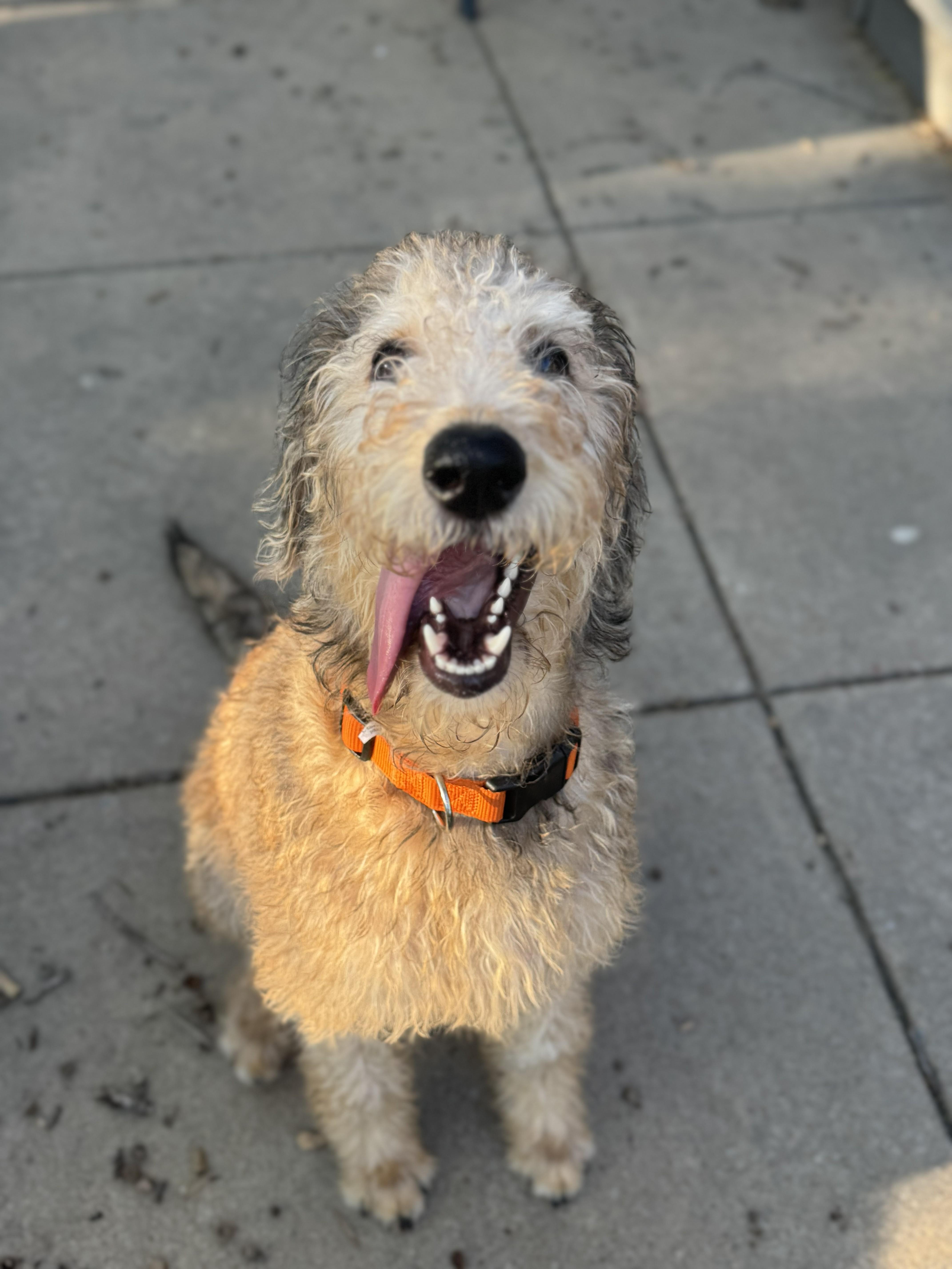 Lebronoklahoma thumbnail 2