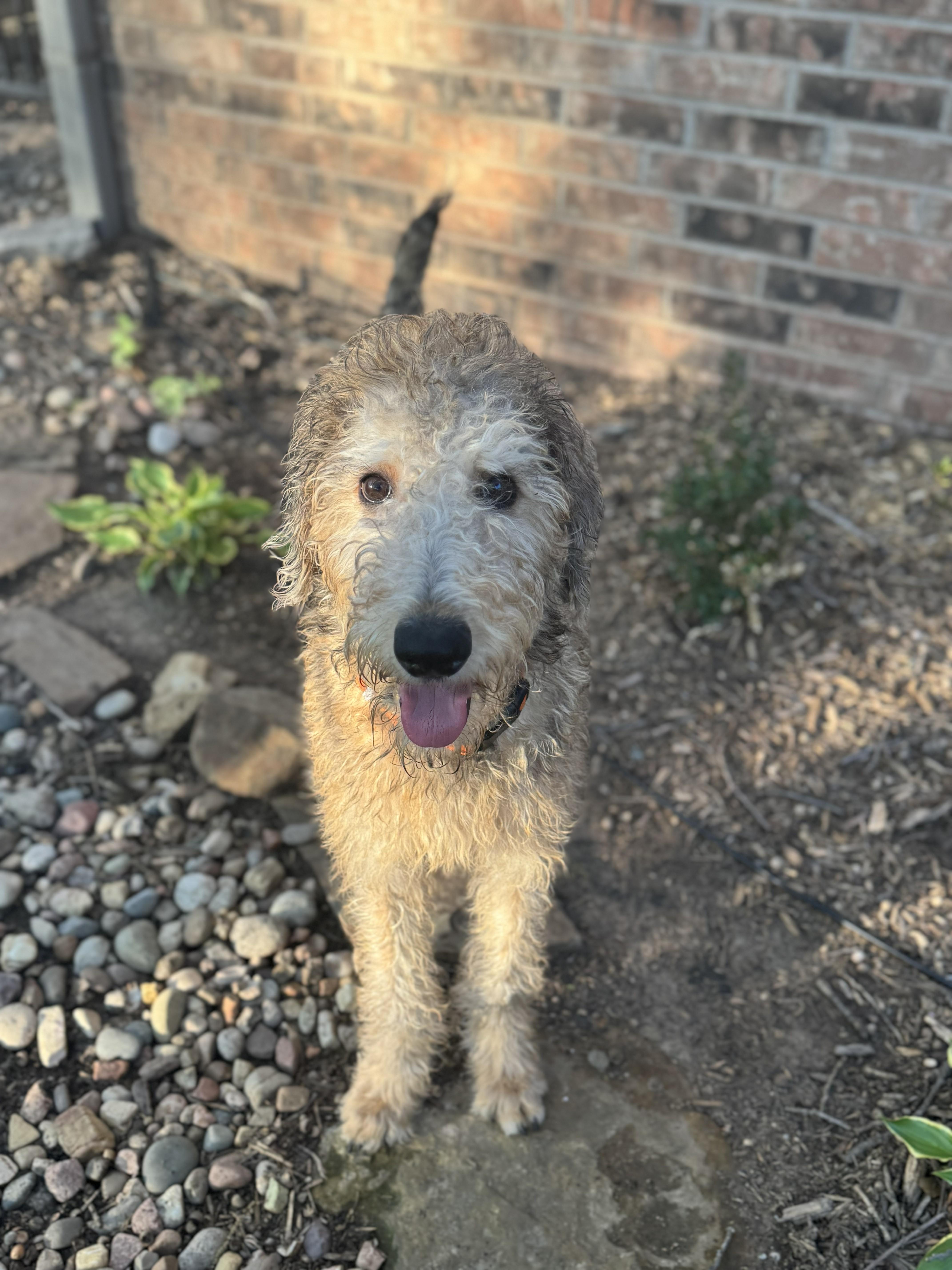 Lebronoklahoma thumbnail 3