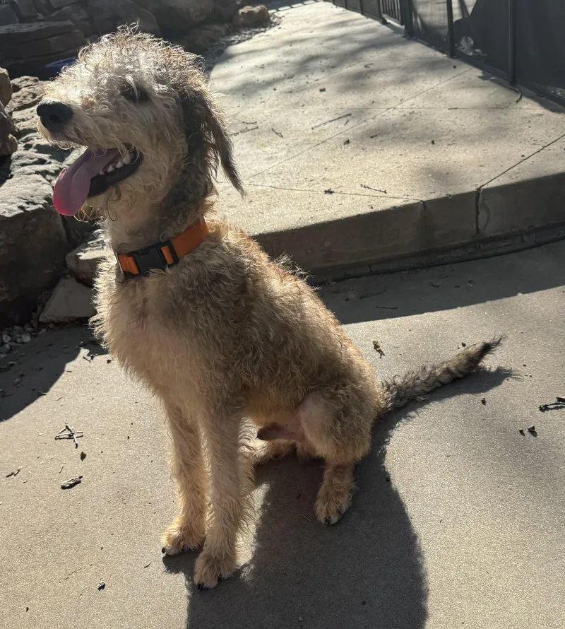 Lebronoklahoma thumbnail 4