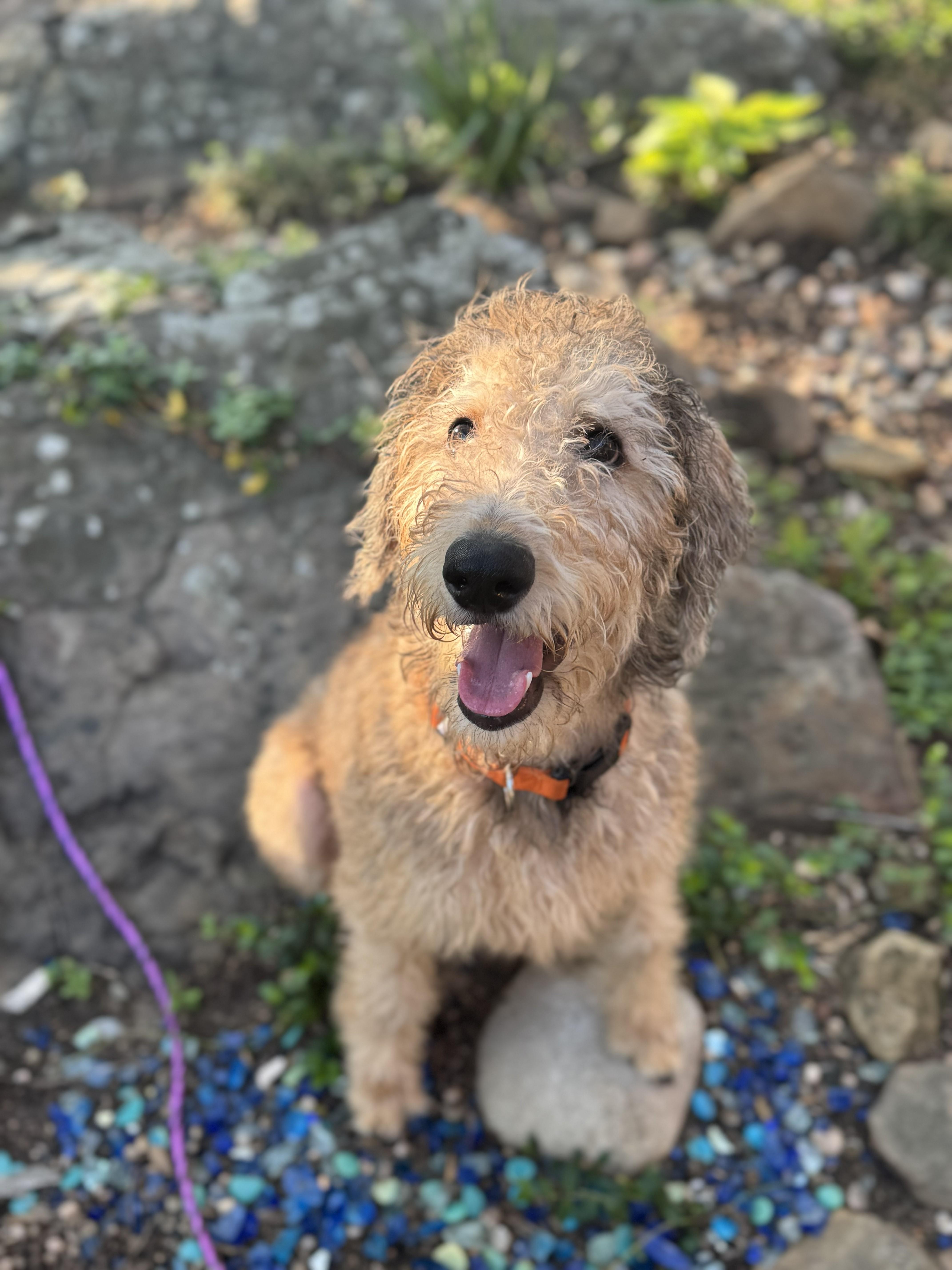 Lebronoklahoma thumbnail 5