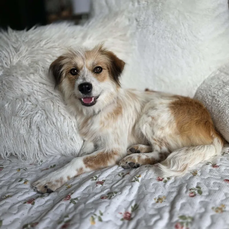 Vivian thumbnail 4