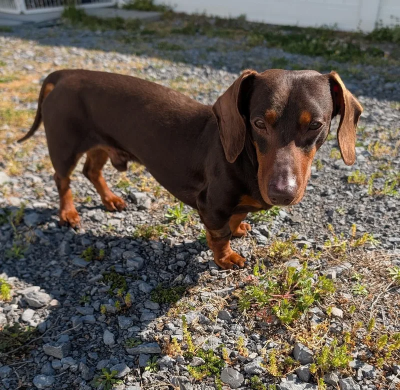 Slinky In Ga And thumbnail 3
