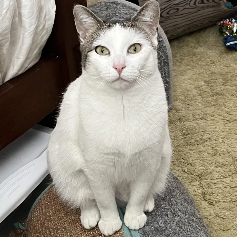 Mama Honey And Moonie thumbnail 2