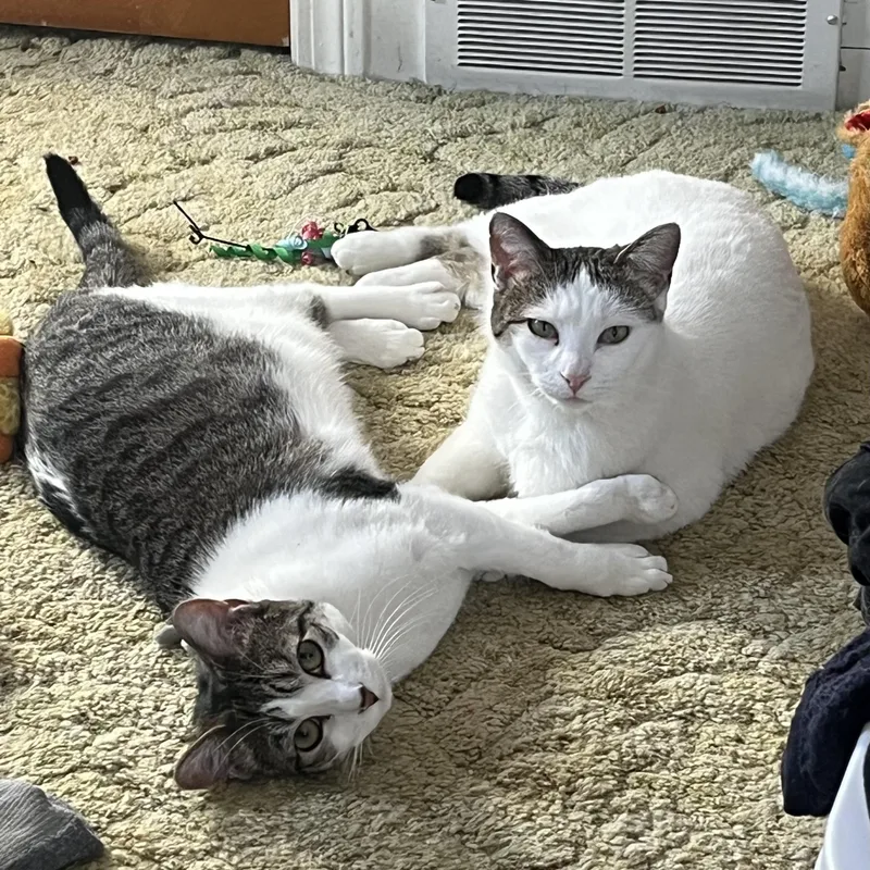 Mama Honey And Moonie thumbnail 3