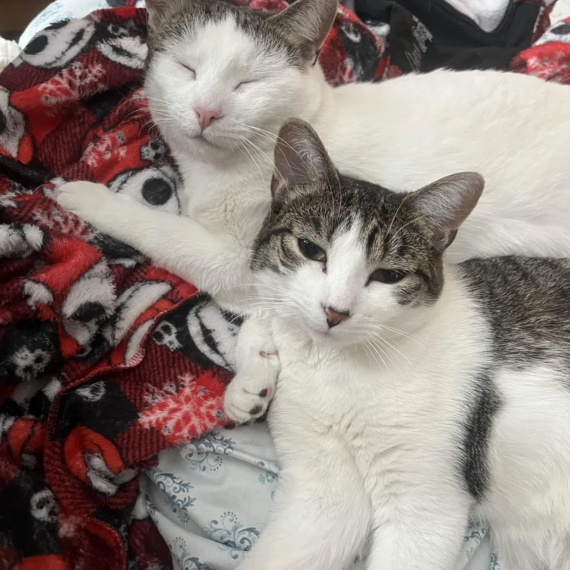 Mama Honey And Moonie thumbnail 5