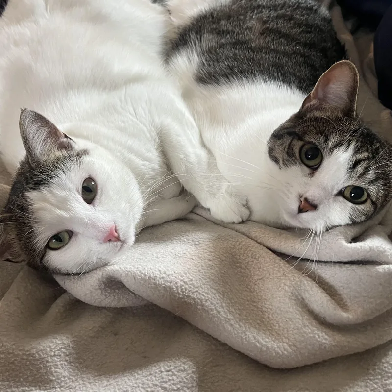 Mama Honey And Moonie thumbnail 6