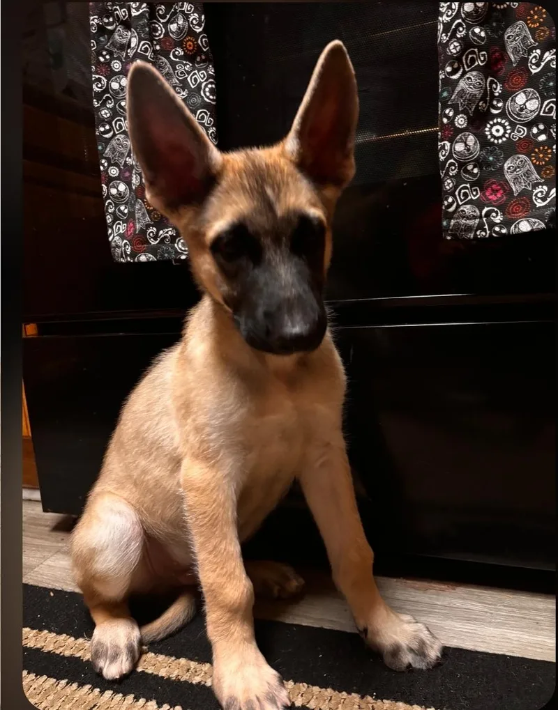 Rico