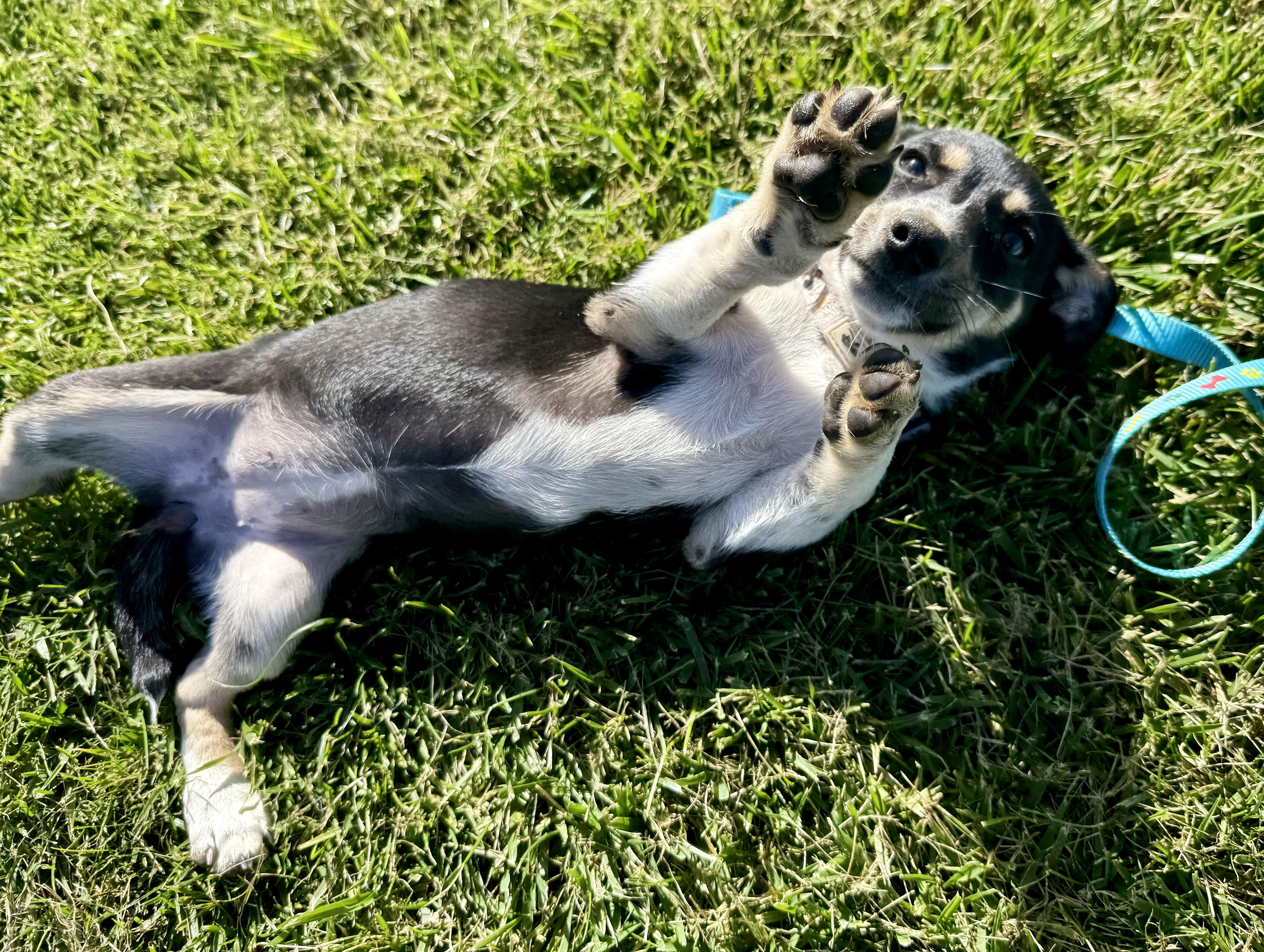 Tori thumbnail 5