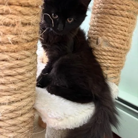 Gemma And Jewel thumbnail 3