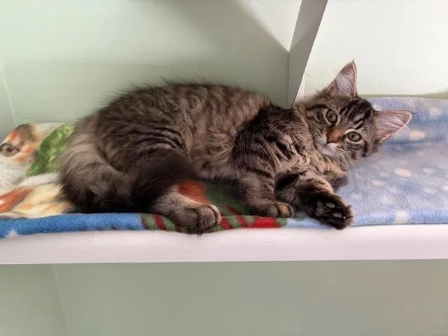 Gemma And Jewel thumbnail 4