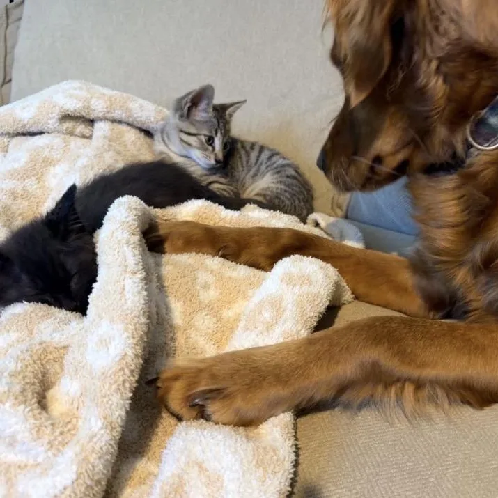 Remy & Toby thumbnail 4