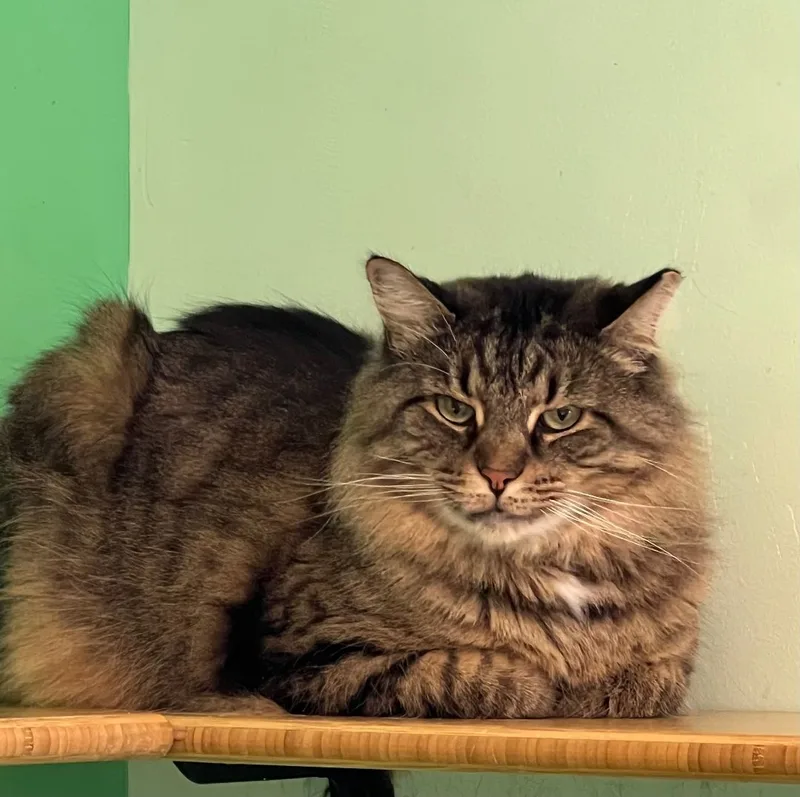 Hercules thumbnail 2