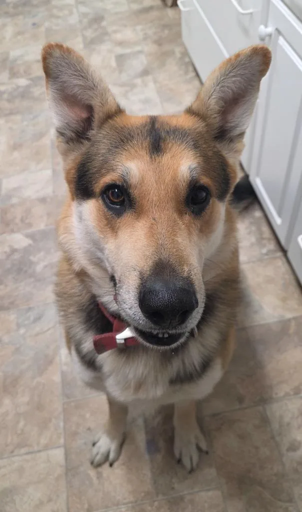 Sebastian