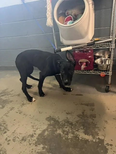Winnie