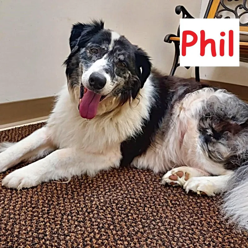 Phil thumbnail 5
