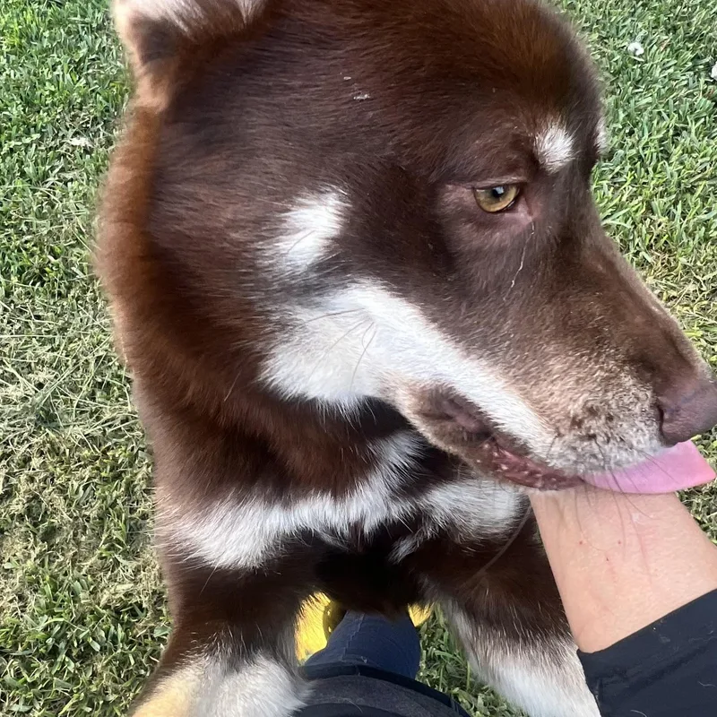 Flynn! Not Your Typical thumbnail 2