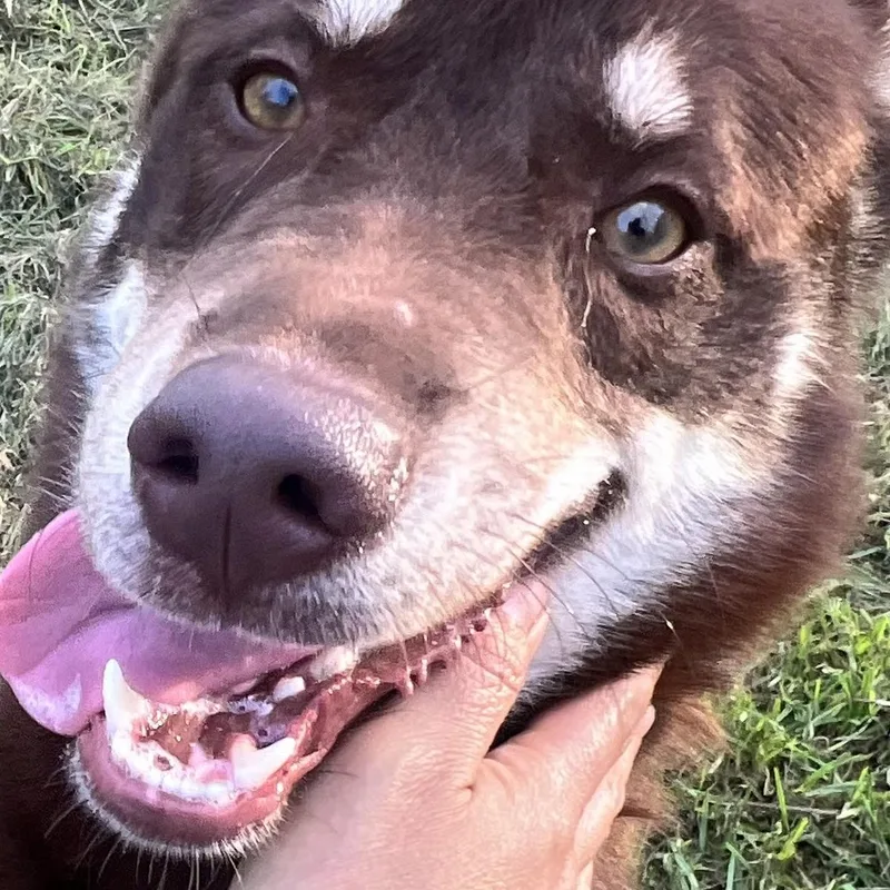 Flynn! Not Your Typical thumbnail 5