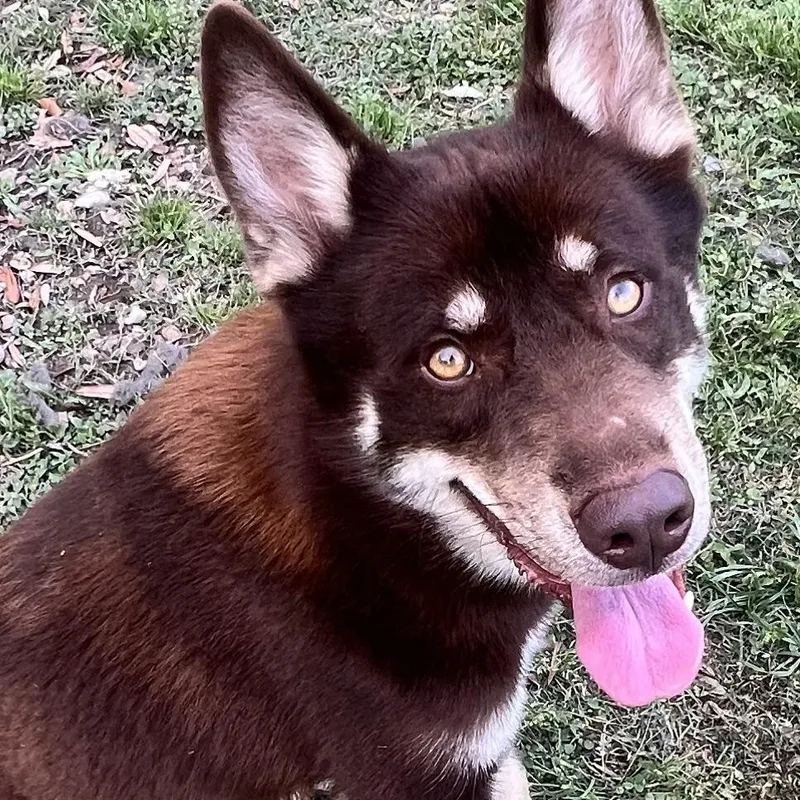 Flynn! Not Your Typical thumbnail 6