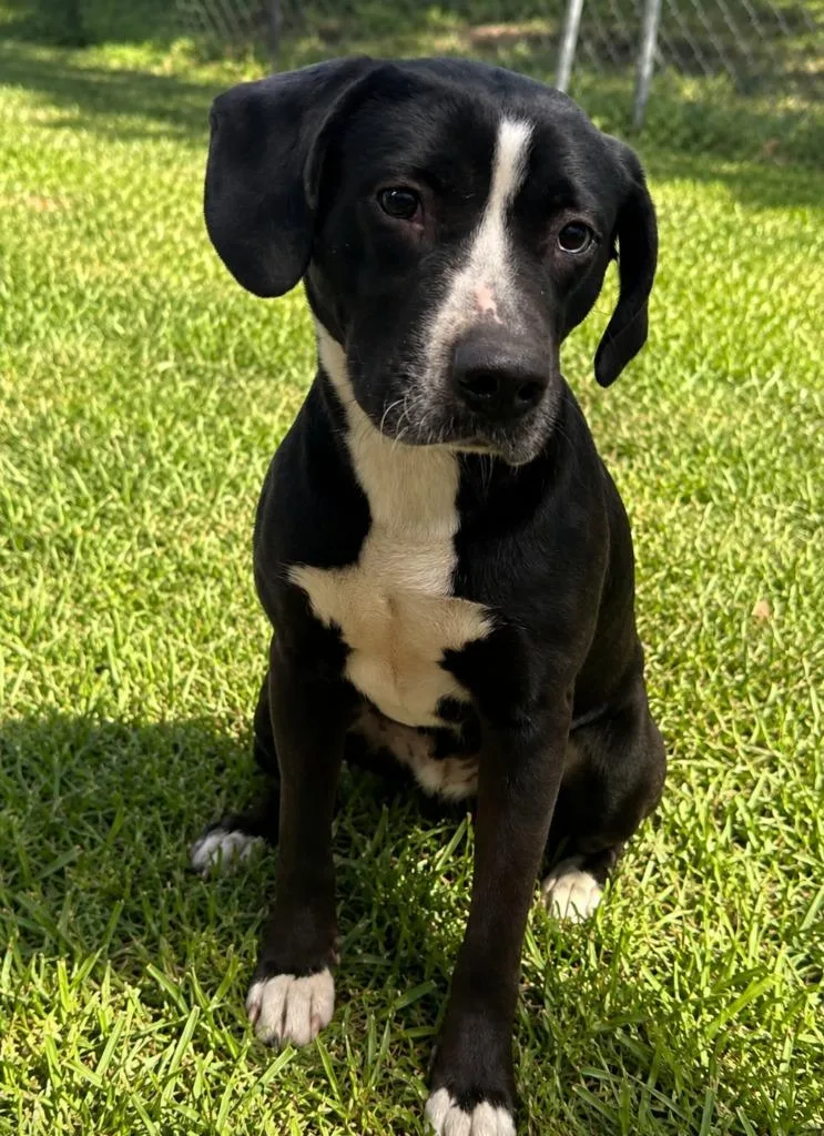 Matilda