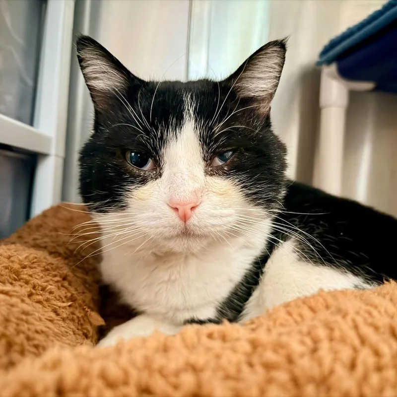 Jumbotron thumbnail 2