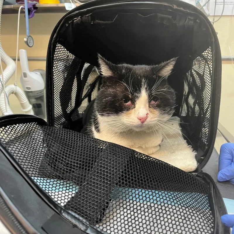 Jumbotron thumbnail 3