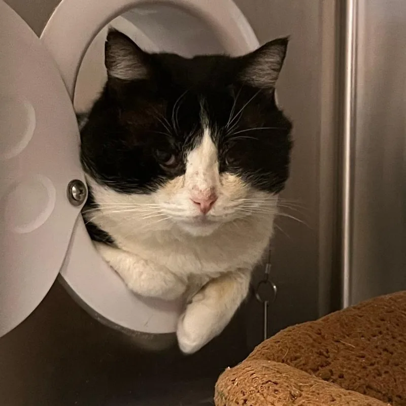 Jumbotron thumbnail 4