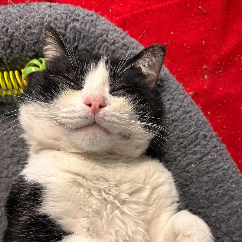 Jumbotron thumbnail 5