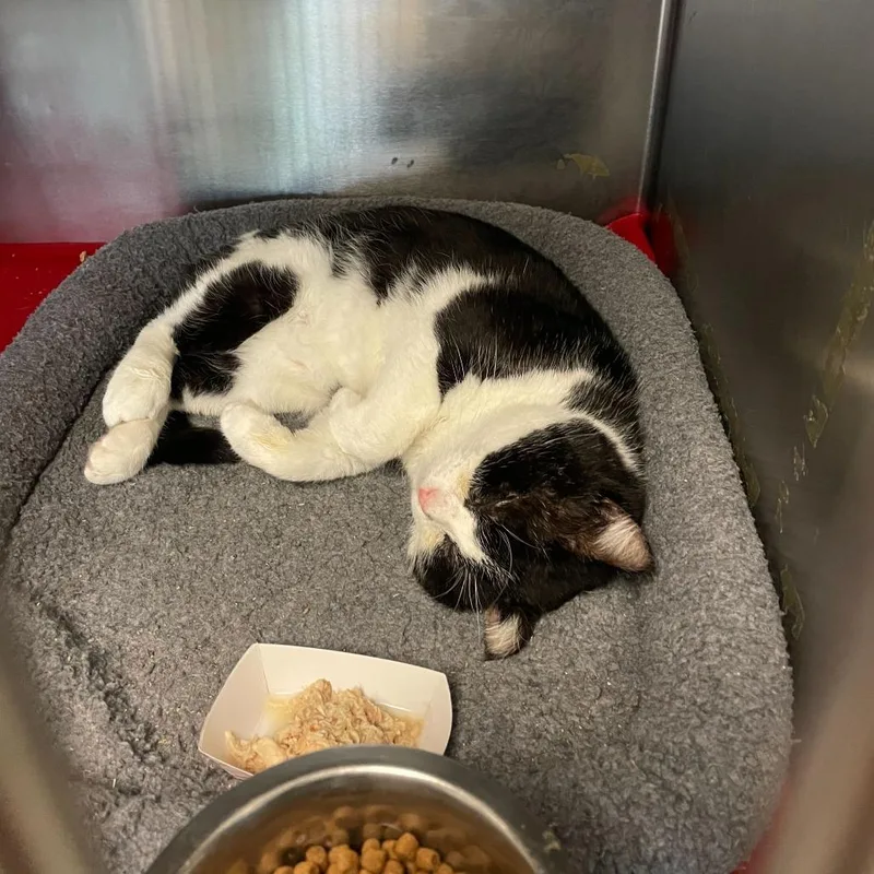 Jumbotron thumbnail 6