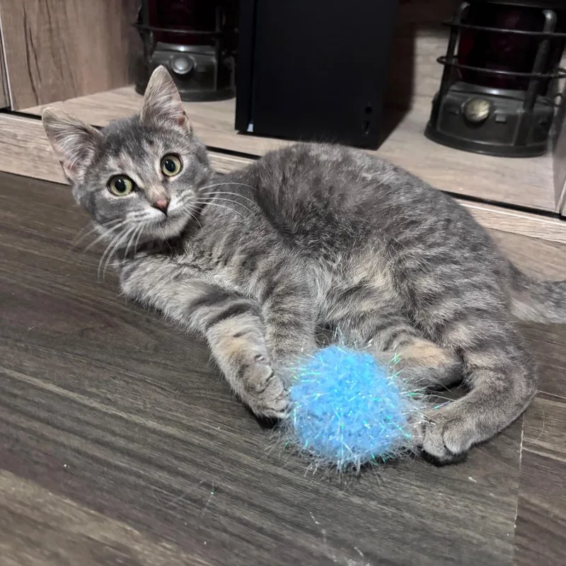 Lara Croft thumbnail 2