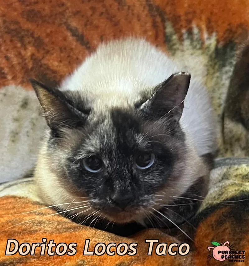 Doritos Locos Taco thumbnail 3