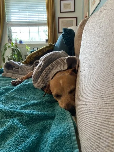 Handsome thumbnail 2