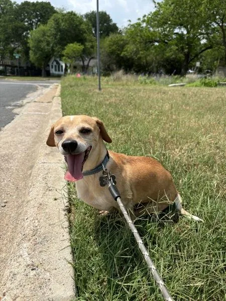 Handsome thumbnail 3