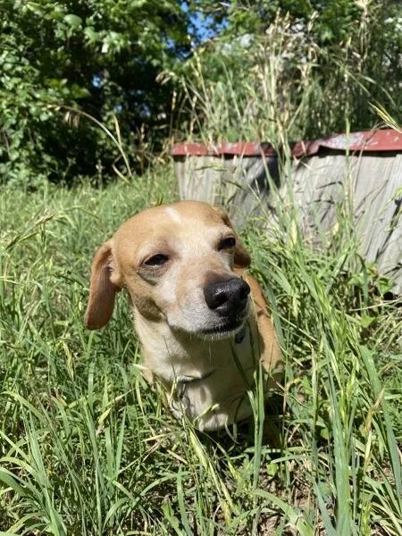 Handsome thumbnail 4