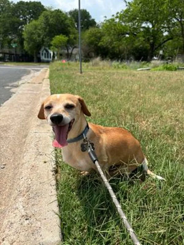 Handsome thumbnail 6