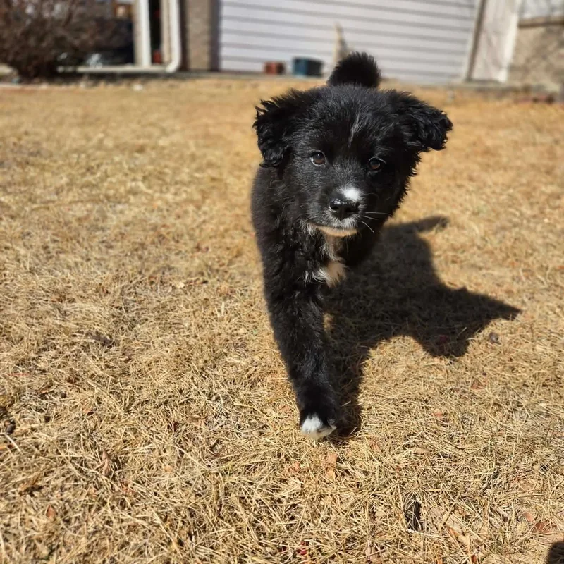 Margaret thumbnail 2