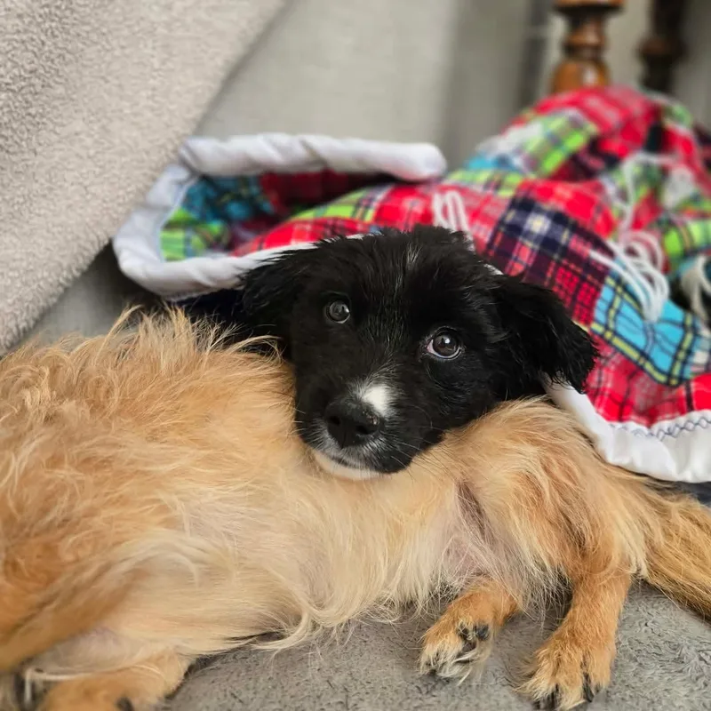 Margaret thumbnail 3