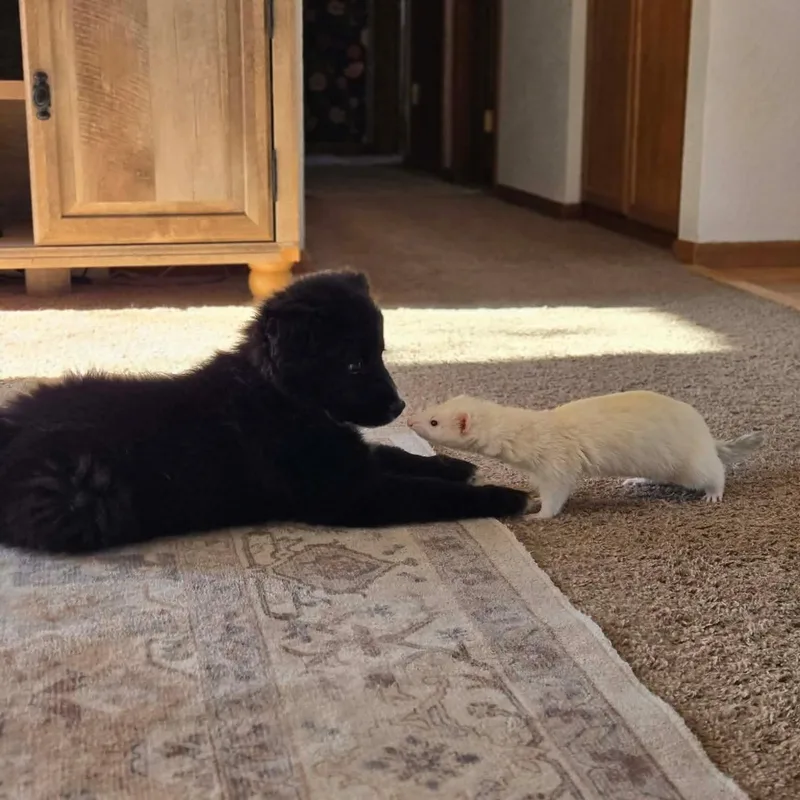 Margaret thumbnail 4